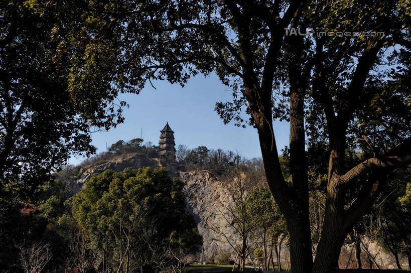 无人,横图,室外,白天,正面,旅游,度假,美景,山,山脉,植物,上海,中国,亚洲,阴影,光线,影子,景观,山峰,山峦,娱乐,树,树木,蓝色,绿色,蓝天,天空,阳光,自然,群山,天,享受,休闲,景色,放松,生长,晴朗,成长,辰山植物园,申,自然风光,东亚,松江区,上海市,万里无云,中华人民共和国,沪,华东地区,上海辰山植物园,晴空,晴空万里,彩图,shzxz1