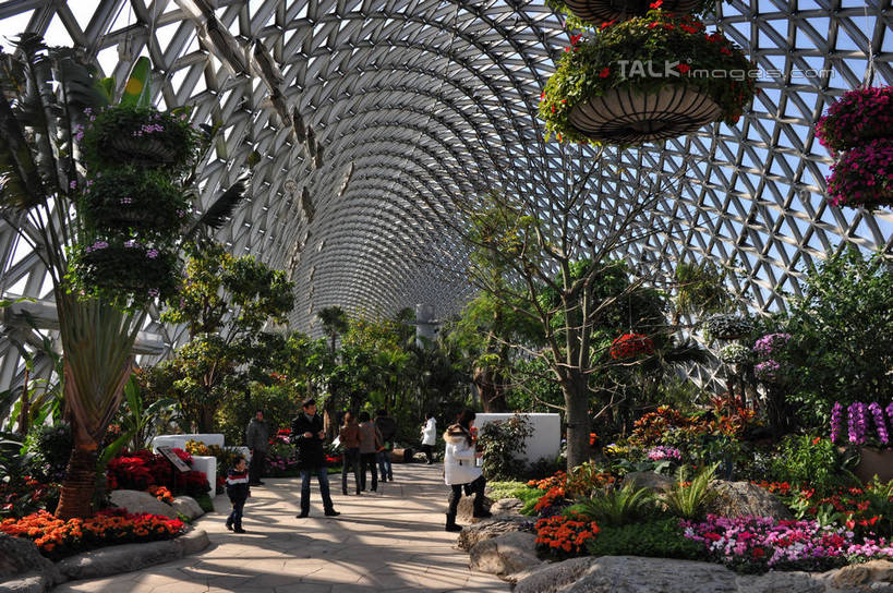 东方人,走,横图,室外,白天,正面,旅游,度假,花海,花圃,美景,植物,叶子,上海,中国,亚洲,行人,游客,游人,阴影,服装,盛开,光线,盆栽,影子,景观,盆景,许多人,花蕾,休闲装,黄种人,娱乐,路人,旅客,花,花瓣,花朵,花卉,鲜花,衣服,绿色,阳光,自然,花丛,花束,花田,花苞,花蕊,一群人,享受,休闲,休闲服,景色,放松,服饰,生长,成长,辰山植物园,申,自然风光,东亚,松江区,上海市,中华人民共和国,沪,华东地区,过客,上海辰山植物园,男人,男性,年轻男性,年轻女性,女人,女性,亚洲人,步行,散步,走路,半身,彩图,shzxz1