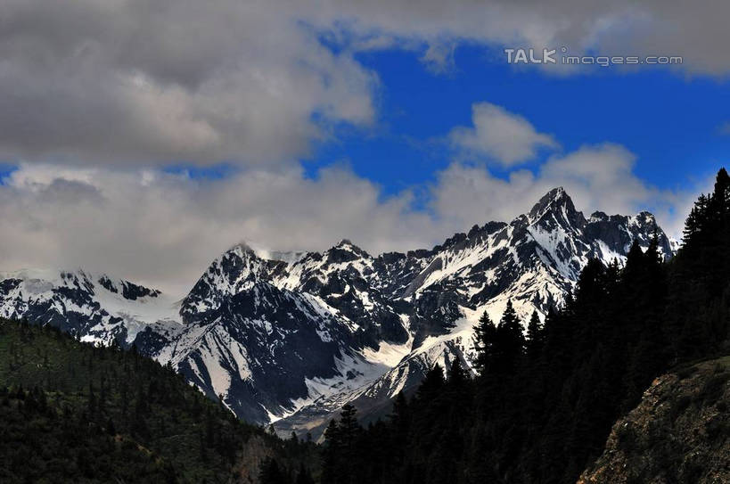 无人,横图,室外,白天,仰视,旅游,度假,草地,草坪,美景,森林,山,山脉,树林,雪,雪山,植物,大雪,中国,亚洲,阴影,光线,影子,积雪,景观,山峰,雪景,云,云朵,冬天,山峦,云彩,娱乐,西藏,草,树,树木,蓝色,绿色,白云,蓝天,天空,阳光,自然,群山,天,享受,休闲,景色,放松,生长,成长,自然风光,藏,东亚,西藏自治区,中华人民共和国,西南地区,彩图,低角度拍摄,yzdzj1