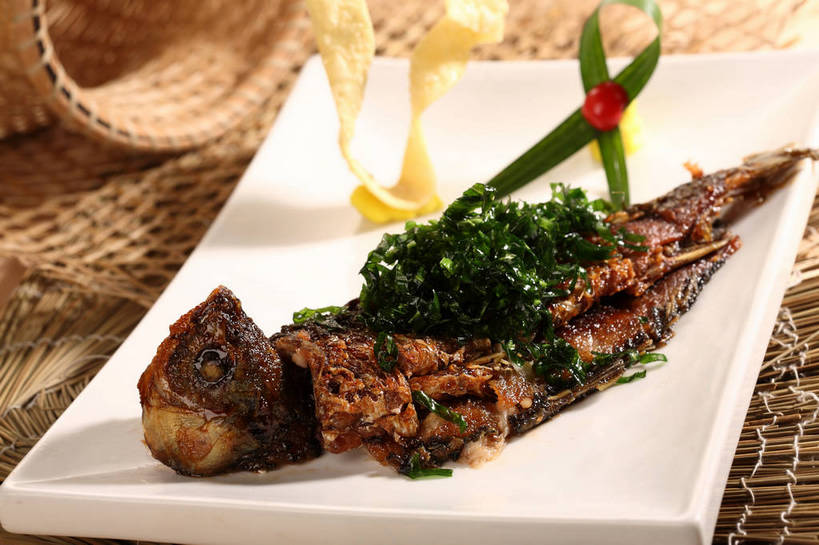 无人,交叉,横图,俯视,室内,特写,白天,烹饪,中餐,餐桌,桌子,竹子,蔬菜,餐具,叶子,阴影,竹制,新鲜,编织,反射,碟子,篮子,盘,影子,葱,青葱,肉,鱼肉,料理,食品,绿叶,菜肴,美食,肉类,食物,一个,白色,盘子,竹篮,碟,中式,嫩叶,佳肴,有机食品,绿色食品,单个,餐台,中华料理,竹条,交织,配菜,竹制品,肉食,穿插,叶,叶片,彩图,高角度拍摄,shjb1