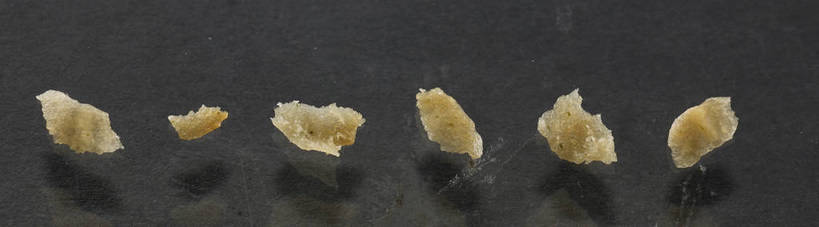 点心,无人,横图,俯视,室内,特写,白天,餐桌,桌子,一排,许多,朦胧,模糊,整齐,食品,很多,破坏,薯片,破损,食物,排列,黄色,零食,餐台,损坏,队列,垃圾食品,彩图,高角度拍摄,shjb1,喀吱脆