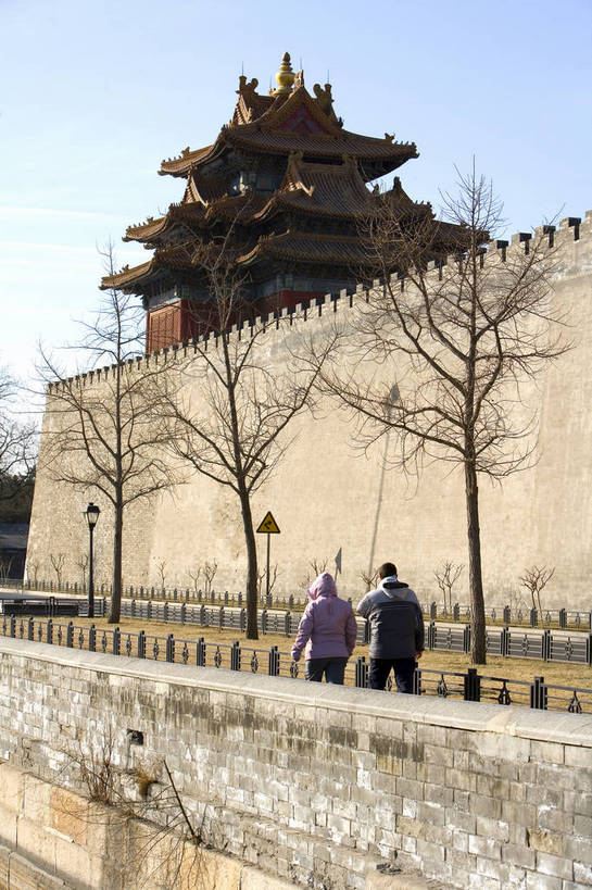 故宫,宫殿,竖图,彩色,室外,白天,旅游,建材,建筑,雕塑,北京,中国,亚洲,艺术,装饰,龙,雕刻,雕像,瓦片,墙,屋顶,文化遗产,艺术品,首都,瓦,顶,建筑物,蓝色,工艺品,紫禁城,竖,摄影,建造,纪念,严肃,美术,蓝,权威,高贵,中国文化,主题,陈列,建筑材料,东亚,屋瓦,中华人民共和国,功能,美学,权力,威严,权势,势力,尊严,彩图,旅行,传统文化,屋面瓦,bj174
