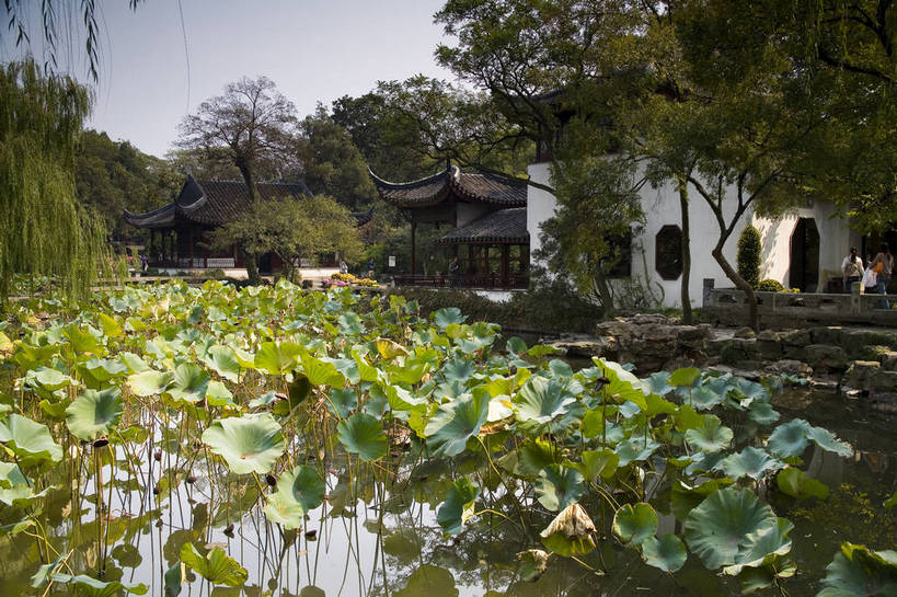 横图,彩色,室外,白天,旅游,度假,名胜古迹,标志建筑,地标,建筑,中国,遗迹,图片,庭院,池塘,水池,建筑群,院子,走廊,古典,古迹,文物,娱乐,建设,古建筑,江苏,苏州,树木,荷花池,凉亭,享受,休闲,旅游胜地,放松,摄影,回廊,园林,中国文化,古文明,东亚,拙政园,苏州园林,旅行,传统文化,bj174