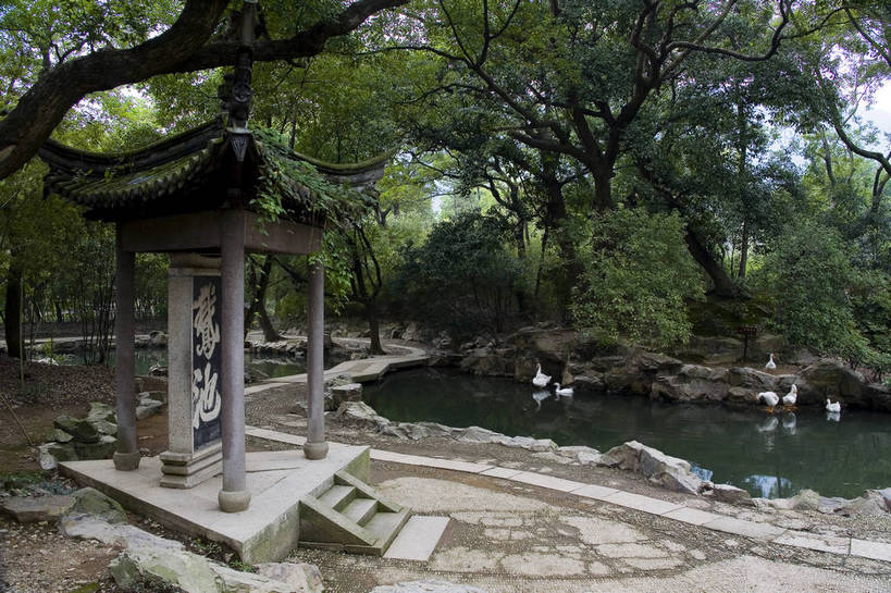 横图,彩色,室外,白天,旅游,度假,名胜古迹,标志建筑,地标,建筑,天鹅,中国,局部,遗迹,书法,图片,池塘,水池,古迹,文物,娱乐,建设,古建筑,浙江,树木,凉亭,享受,休闲,汉字,旅游胜地,放松,摄影,中国文化,古文明,东亚,绍兴,兰亭,旅行,传统文化,bj174