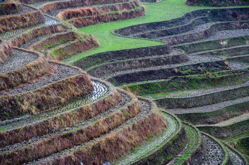 农田,横图,室外,白天,旅游,度假,农业,梯田,名胜古迹,田园,标志建筑,地标,建筑,中国,亚洲,遗迹,民俗,景观,文化遗产,古迹,文物,娱乐,建设,古建筑,特色,自然,享受,休闲,旅游胜地,景色,放松,人文景观,广西,耕作,中国文化,古文明,东亚,龙胜,龙脊梯田,中华人民共和国,古代文明,旅行,传统文化,bj174