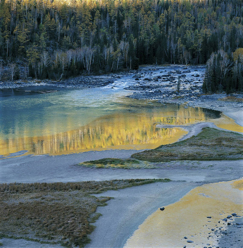 竖图,俯视,彩色,室外,白天,旅游,度假,湖泊,荒凉,名胜古迹,树林,标志建筑,地标,建筑,中国,亚洲,遗迹,壮观,景观,辽阔,美丽,古迹,文物,娱乐,建设,古建筑,树,树木,自然,湖水,享受,休闲,广阔,旅游胜地,放松,竖,摄影,人文景观,地理,湿地,矗立,近景,滩涂,耸立,古文明,东亚,地貌,新疆,中华人民共和国,挺立,阿勒泰,苍凉,旅行,地质,bj174
