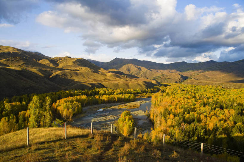 无人,横图,彩色,室外,白天,旅游,度假,名胜古迹,树林,标志建筑,地标,建筑,中国,亚洲,遗迹,围栏,古迹,文物,娱乐,建设,古建筑,树木,白云,天空,自然,享受,休闲,旅游胜地,放松,摄影,远山,自然风光,杉树,古文明,东亚,新疆,中华人民共和国,阿勒泰,旅行,白哈巴,bj174