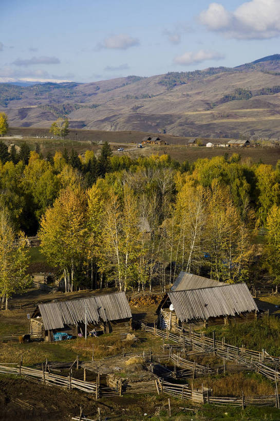 无人,木屋,竖图,彩色,室外,白天,旅游,度假,美景,名胜古迹,树林,田园,标志建筑,地标,建筑,中国,亚洲,遗迹,景观,围栏,古迹,文物,娱乐,建设,古建筑,民居,树木,自然,村庄,享受,休闲,旅游胜地,景色,放松,竖,摄影,自然风光,杉树,古文明,东亚,新疆,中华人民共和国,阿勒泰,旅行,白哈巴,bj174