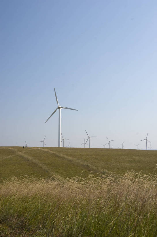 无人,摄影师,竖图,彩色,室外,白天,旅游,草原,美景,坝上,中国,亚洲,环保,景观,山川,辽阔,名胜,白云,风景,蓝天,阳光,自然,景色,能源,晴天,自然风光,东亚,摄像师,塞罕坝,中华人民共和国,华北地区,河北,河北省,冀,承德,承德市,幽静,秀美,自然景观,风力发电,围场县,围场满族蒙古族自治县,丰宁县,大滩镇,坝上草原,丰宁满族自治县,京北第一草原,丰宁,红松洼自然保护区,围场红松洼国家级自然保护区,bj174