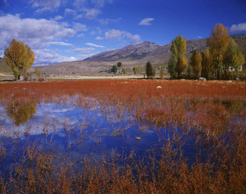 无人,横图,彩色,室外,白天,旅游,度假,湖,美景,名胜古迹,山脉,树林,植物,标志建筑,地标,建筑,中国,亚洲,遗迹,图片,草药,药草,古迹,文物,娱乐,建设,古建筑,中药,草,白云,风景,蓝天,天空,自然,享受,休闲,旅游胜地,放松,摄影,地理,四川省,风光,宁静,空旷,自然风光,药材,中草药,滩涂,古文明,东亚,四川,稻城,甘孜藏族自治州,中药材,本草,中华人民共和国,西南地区,川,甘孜,甘孜州,稻城县,红草,茏古,天蓼,bj174