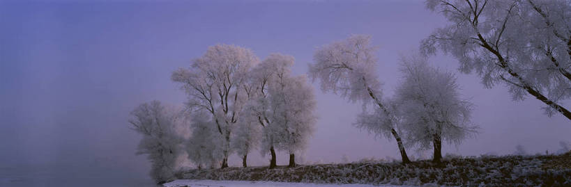 无人,横图,彩色,室外,白天,旅游,度假,名胜古迹,树林,水,雾,标志建筑,地标,建筑,中国,亚洲,朦胧,模糊,遗迹,围绕,图片,霞光,雪景,烟雾,冬天,清晨,古迹,文物,娱乐,建设,古建筑,树木,风景,自然,享受,休闲,远景,烟,旅游胜地,放松,摄影,地理,缭绕,风光,宁静,迷雾,自然风光,雾凇,旋绕,古文明,东亚,松花江,吉林,吉林省,中华人民共和国,东北地区,吉,萦绕,仙境,回绕,江,大雾,雾凇岛,东北,中国东北地区,东北三省,东三省,bj174