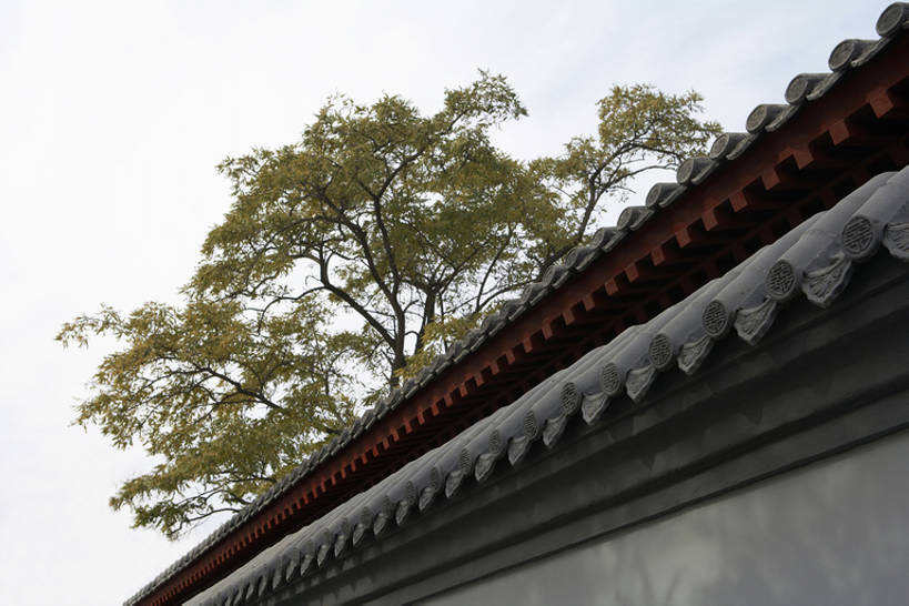 无人,寺庙,横图,竖图,室外,白天,奢侈,植物,建筑,北京,中国,亚洲,装饰,墙,屋顶,围墙,豪华,历史,传统,树,风景,蓝天,摄影,华丽,复杂,中国文化,古典风格,东亚,远古,富丽,华美,式样,彩图,礼拜堂,传统文化,华侈,奢华,bj175