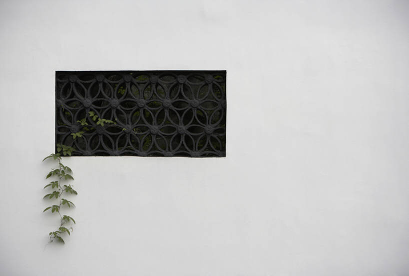 无人,横图,室外,白天,留白,奢侈,植物,窗户,上海,中国,亚洲,花纹,图案,墙,爬山虎,豪华,传统,树叶,白色,自然,摄影,生长,华丽,简单,中国文化,反差,东亚,富丽,华美,彩图,传统文化,华侈,奢华,bj175