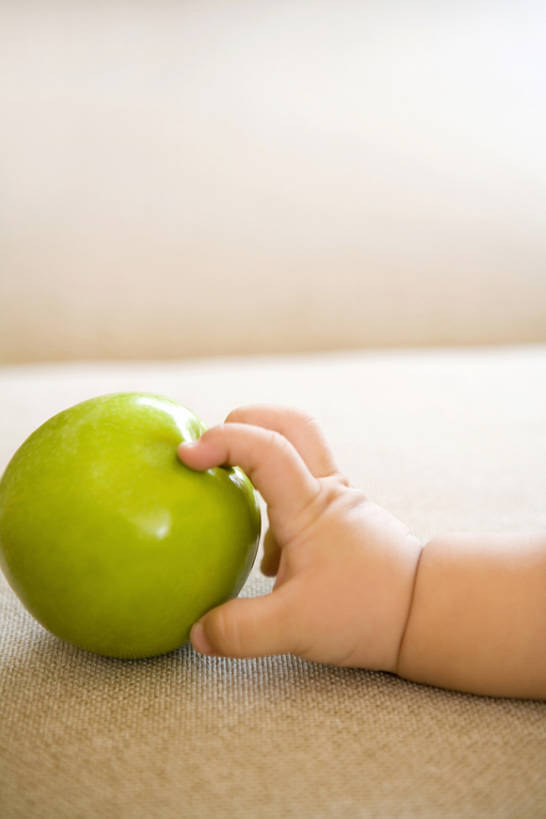 东方人,婴儿,儿童,手,一个人,竖图,特写,侧面,纯洁,苹果,水果,中国,亚洲,仅一个人,握,小的,联系,饮食,小孩,自然,健康,活力,可爱,探索,童年,童趣,无辜,伸手,握着,摄影,活泼,生长,部分,宝宝,童真,东亚,纯真,烂漫,无邪,健康食物,亚当,开端,伶俐,天真,男性,亚洲人,中国人,孩子,触摸,彩图,弱点,好奇心,bj175