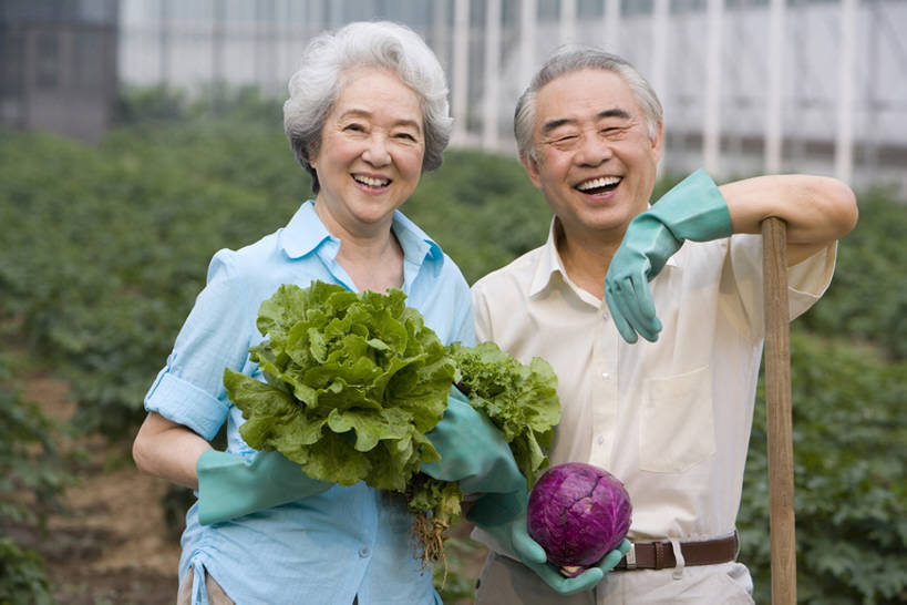 东方人,老年人,两个人,菜园,农田,农场,笑,微笑,露齿笑,横图,室外,白天,正面,旅游,度假,快乐,幸福,安全,农业,庄稼,农作物,采摘,美景,蔬菜,北京,中国,亚洲,连接,种植,景观,园艺,莴苣,紫甘蓝,食品,防护,年轻,拿着,注视,休闲装,娱乐,饮食,自然,手套,夏天,观察,看,享受,休闲,健康,甘蓝,景色,放松,摄影,有机食品,生长,生活方式,收获,观看,保护,察看,退休,关爱,关注,清新,自然风光,肖像,爱好,保险,东亚,健康食物,陪同,保全,周全,安稳,安定,防护手套,陪伴,平安,老年男性,老年女性,男人,男性,女人,女性,亚洲人,中国人,休闲活动,半身,彩图,爱,深情,耕地,庄稼田,人老心不老,伴随,bj175