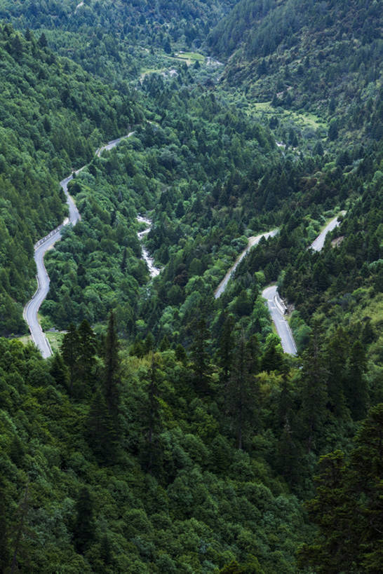 无人,竖图,室外,白天,旅游,度假,美景,森林,山,山脉,树林,路,中国,亚洲,曲折,弯曲,地形,景观,山路,娱乐,炊烟,西藏,树,绿色,风景,自然,享受,休闲,烟,景色,放松,茂密,运输,摄影,蜿蜒,茂盛,宁静,山脊,清新,自然风光,东亚,西藏自治区,地貌,罕见,荒僻,偏僻,偏远,自然地理,冷僻,彩图,bj175