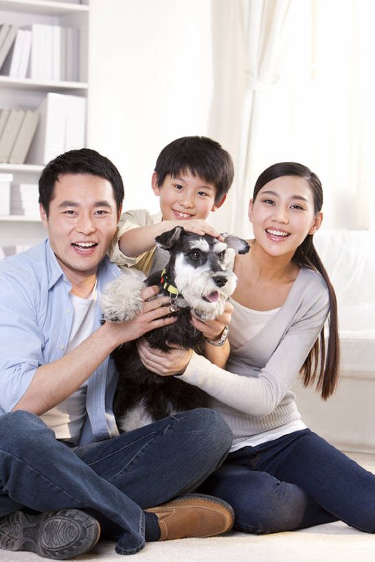 儿童,成年人,中年人,三个人,家庭,父母,母亲,父亲,儿子,家,客厅,站,笑,微笑,露齿笑,竖图,室内,正面,快乐,幸福,纯洁,骄傲,宠物,狗,北京,中国,亚洲,梗犬,注视,休闲装,苏格兰梗,亚伯丁梗,一只,小孩,动物,观察,看,站着,健康,温暖,温馨,一家人,家畜,可爱,乐趣,童年,童趣,搭,摄影,生活方式,观看,和睦,察看,起居室,享乐,搭着,关注,肖像,童真,东亚,东亚人,烂漫,无邪,髯犬,陪同,忠诚,陪伴,无忧无虑,天真,男孩,男人,男性,年轻男性,年轻女性,女人,亚洲人,中国人,孩子,年轻人,全家福,休闲活动,犬,跪着,拥抱,站立,彩图,全身,爱,欢乐,深情,融洽,男生,伴随,bj175