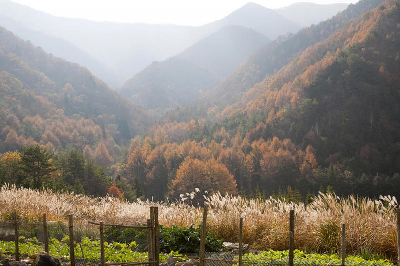 白天,旅游,度假,山,亚洲,地形,娱乐,树,风景,享受,休闲,放松,秋天,彩图,bj175