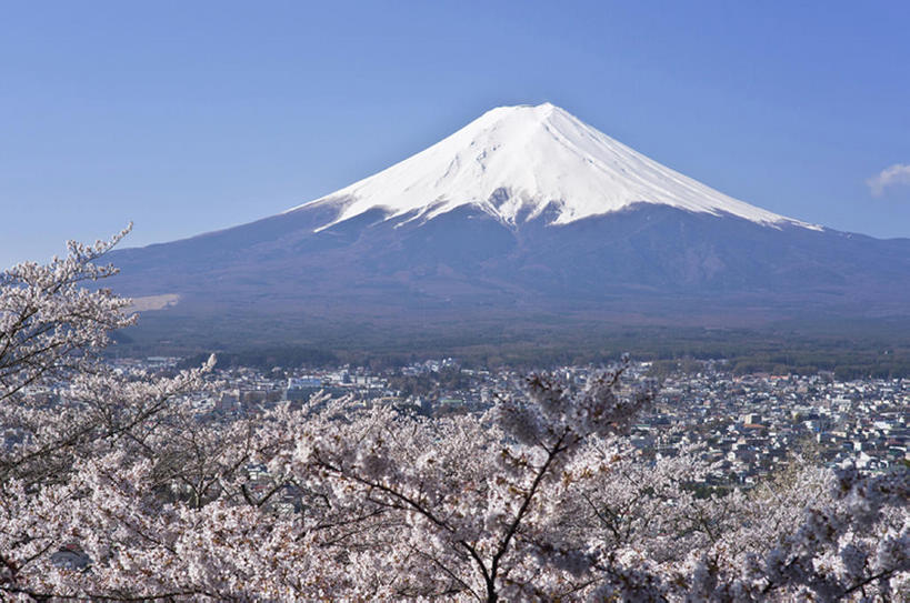 无人,横图,室外,白天,旅游,度假,美景,名胜古迹,山,雪,雪山,樱花,富士山,日本,覆盖,地形,景观,山顶,娱乐,花,风景,天空,自然,春天,享受,休闲,景色,放松,摄影,宁静,自然风光,彩图,旅行,富士,bj175