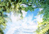 tkf001_102105
