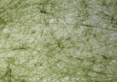 tkf001_104361