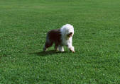 tkf001_106920