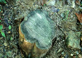 tkf001_111239