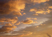 tkf001_111252