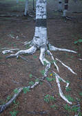 tkf001_111688