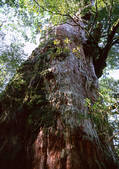 tkf001_112355