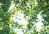 tkf001_113562