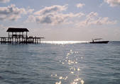 tkf001_116632