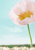 tkf001_121121