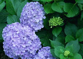 tkf001_121147