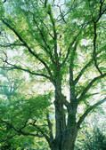 tkf001_123910