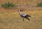 tkf001_125599