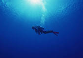 tkf001_128396