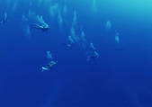tkf001_128403