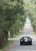 tkf001_129290