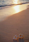 tkf001_133523