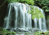 tkf001_133712