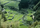 tkf001_137600