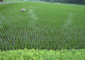 tkf001_137608