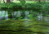 tkf001_137635