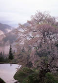 tkf001_137852