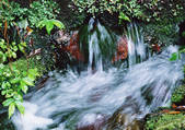 tkf001_139037