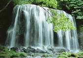 tkf001_139040