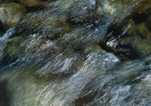 tkf001_139095