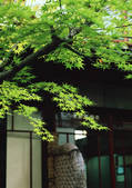 tkf001_139923