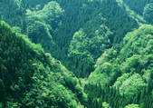 tkf001_140001